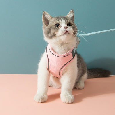 Cat Harness & Leash Set