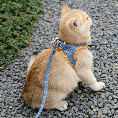 Cat Harness & Leash Set