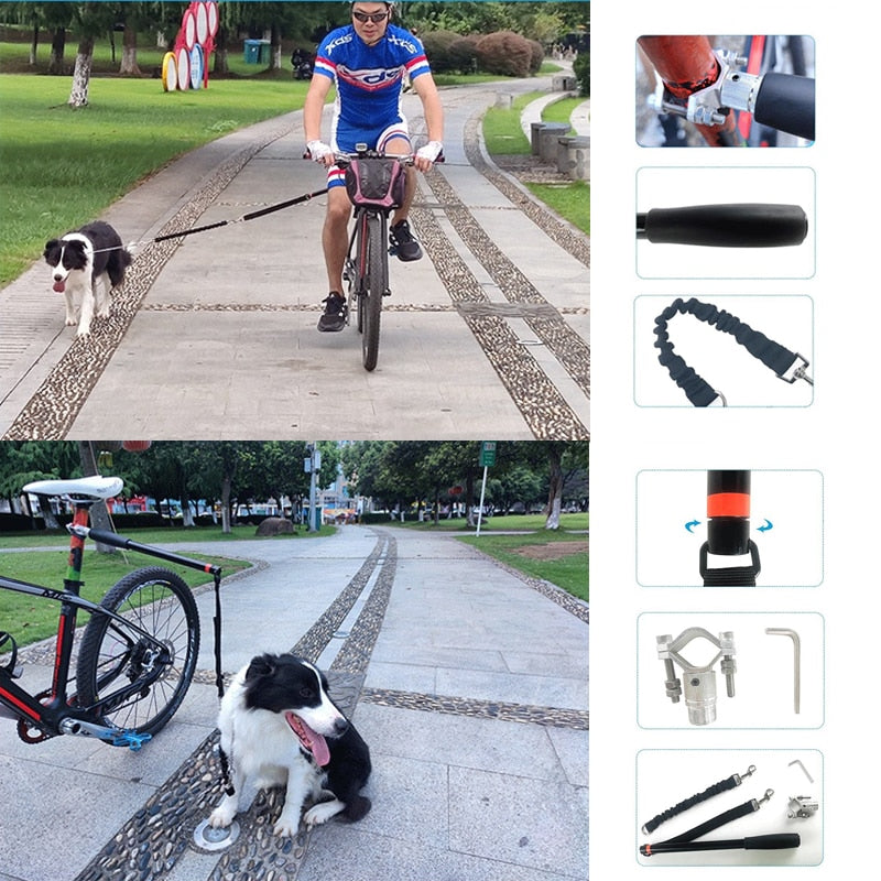 Dog Bike Exercise Leash