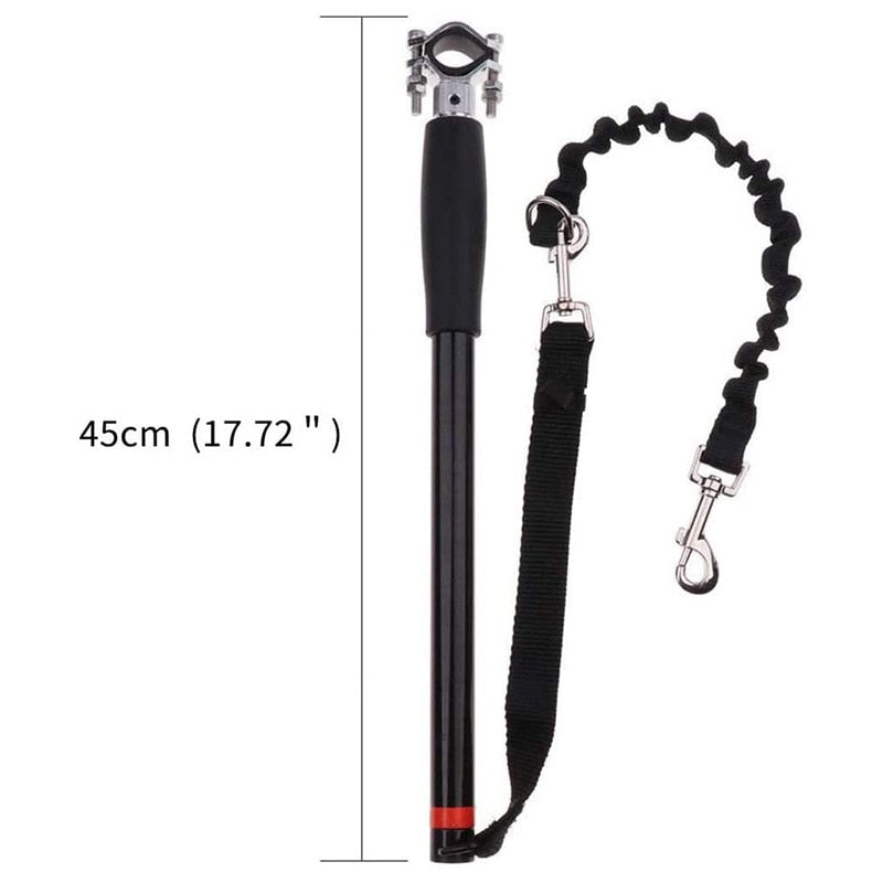 Dog Bike Exercise Leash