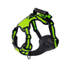 Outdoor Dog Harness