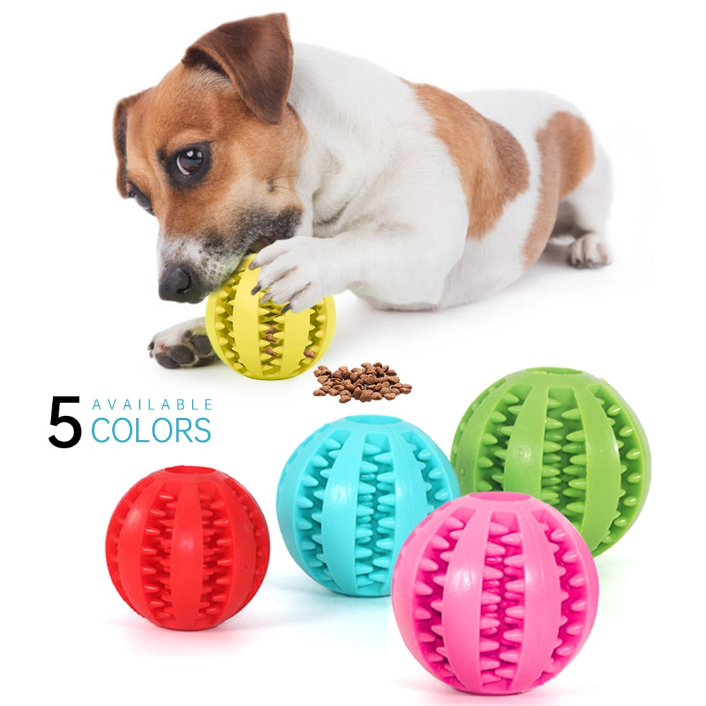Dog Interactive Molar Bite Ball