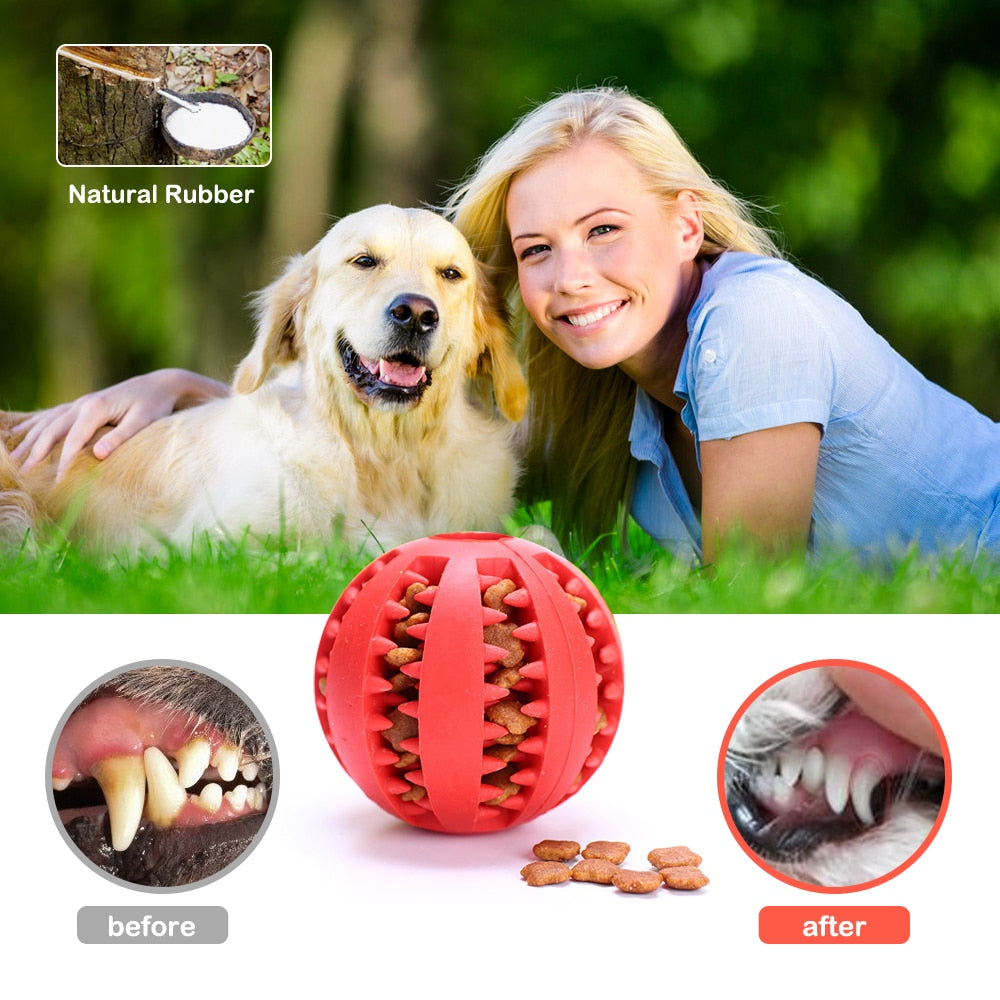 Dog Interactive Molar Bite Ball