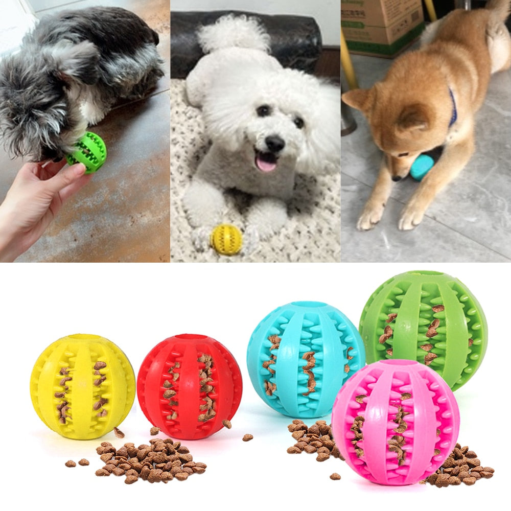 Dog Interactive Molar Bite Ball