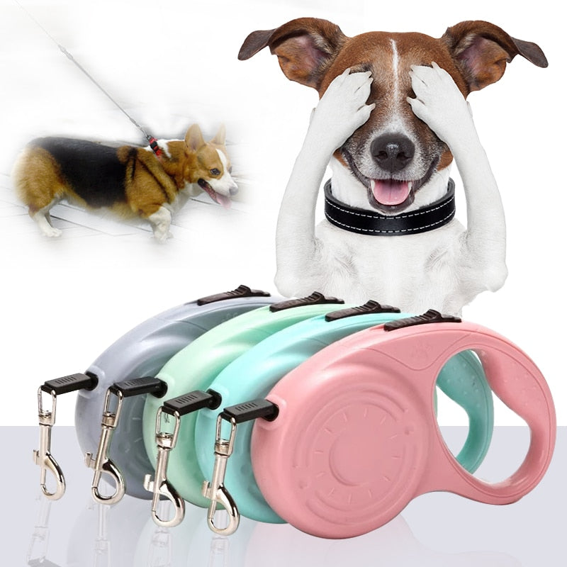 3M/5M Dog Leash Automatic Retractable Traction Rope