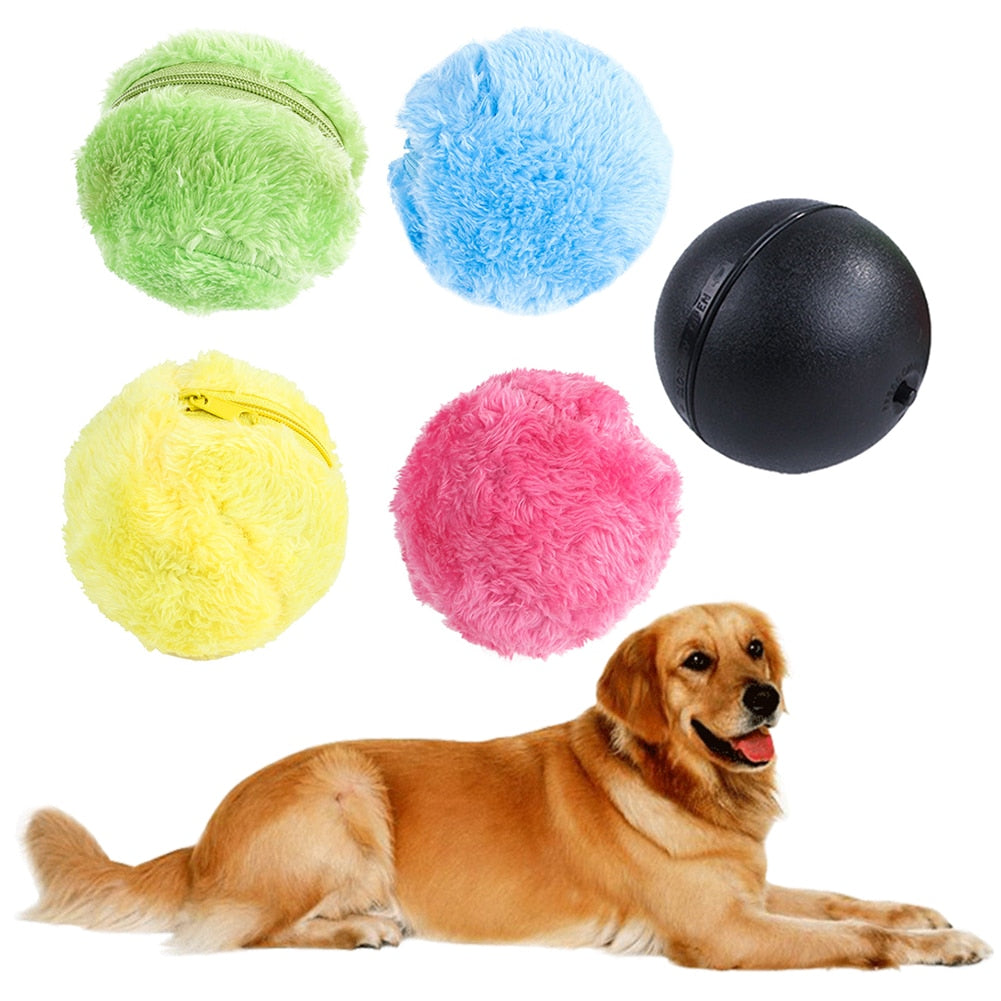 Magic Roller Ball Toy