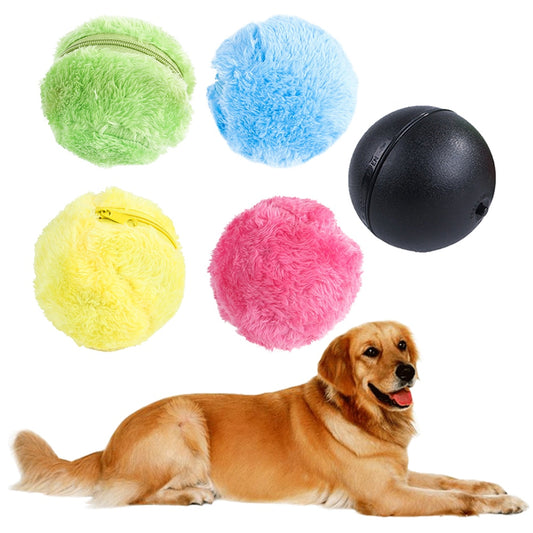 Magic Roller Ball Toy
