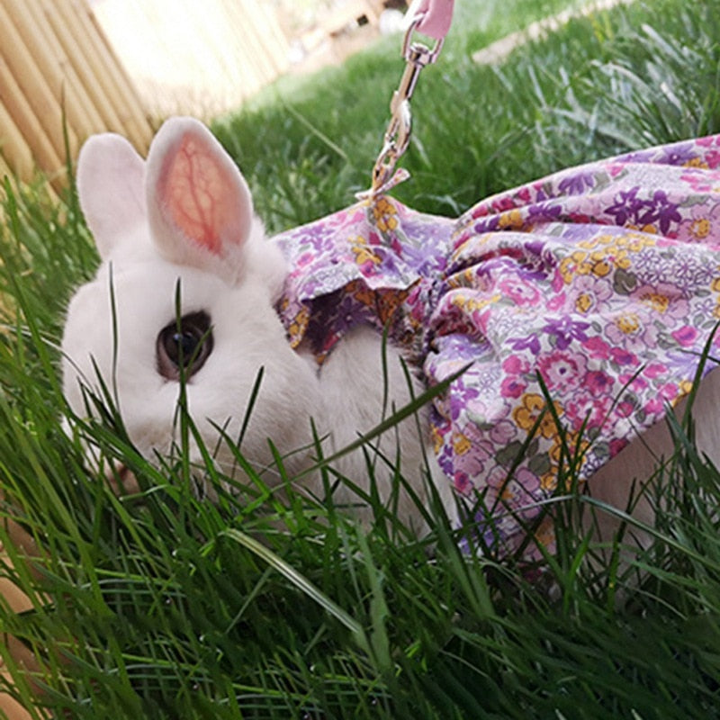 Guinea Pig Floral Harness Vest and Leash Set