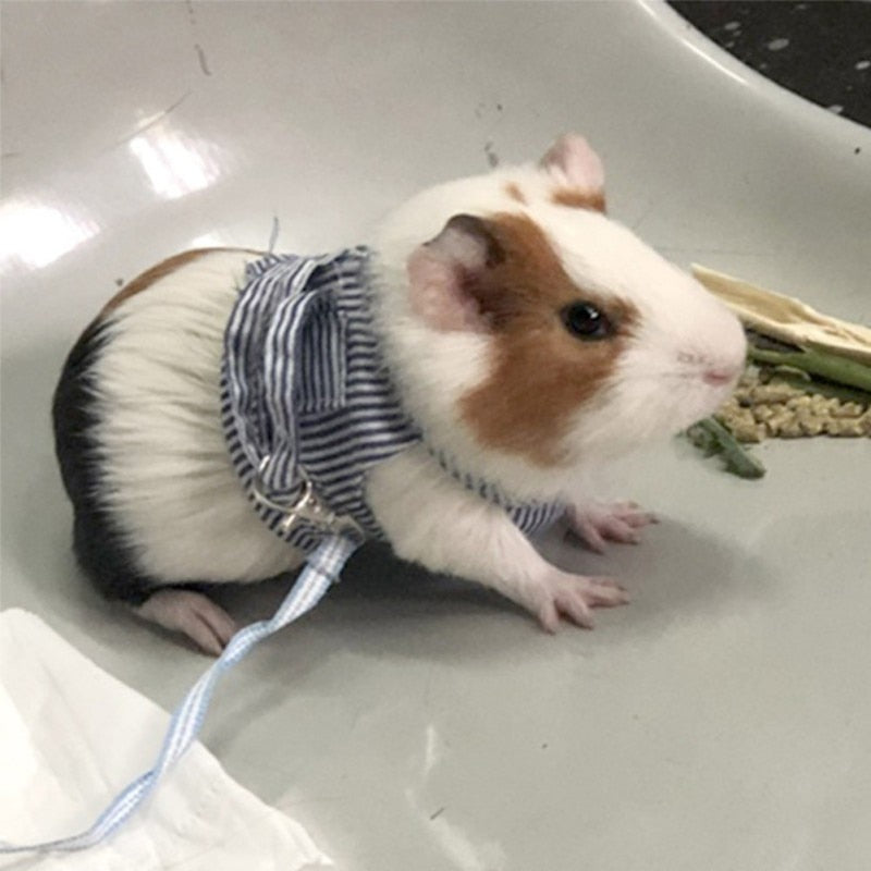 Guinea Pig Out Towing Rope Striped Strap