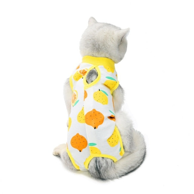 Pet Sterilization Suit Pet Postoperative Clothes