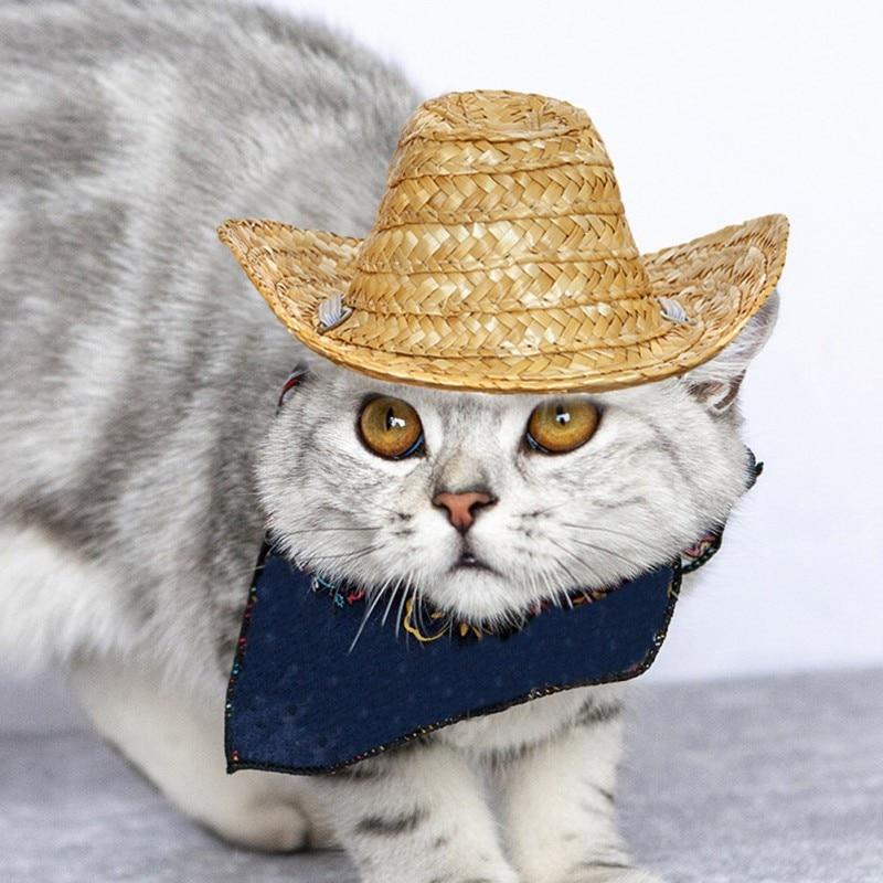 Fashionable Pet Hat