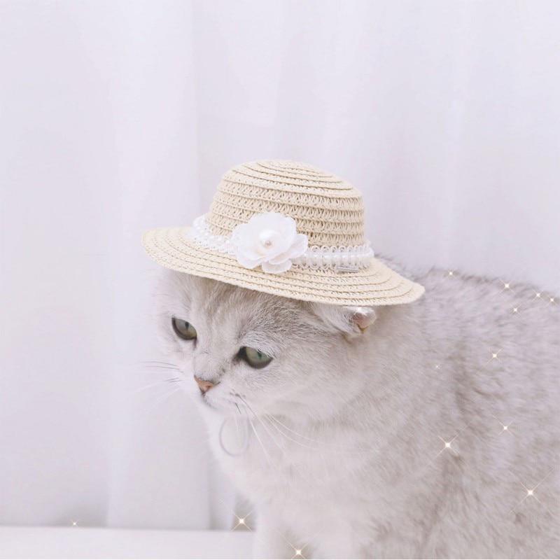 Fashionable Pet Hat