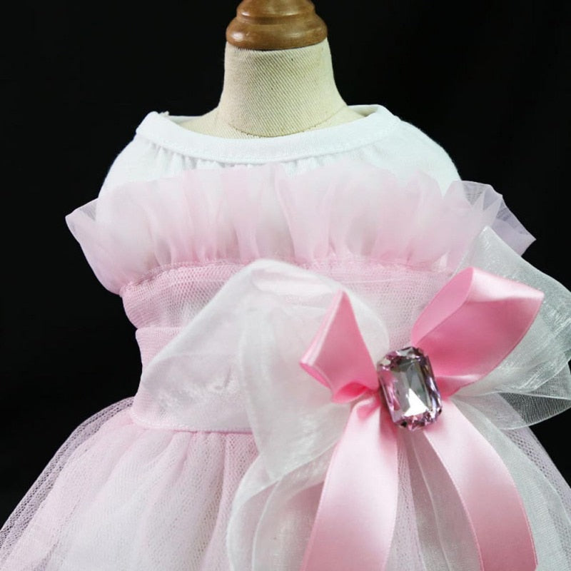 Precious Princess Dress
