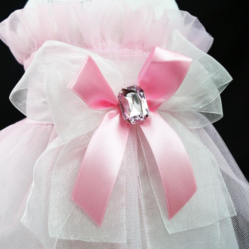 Precious Princess Dress