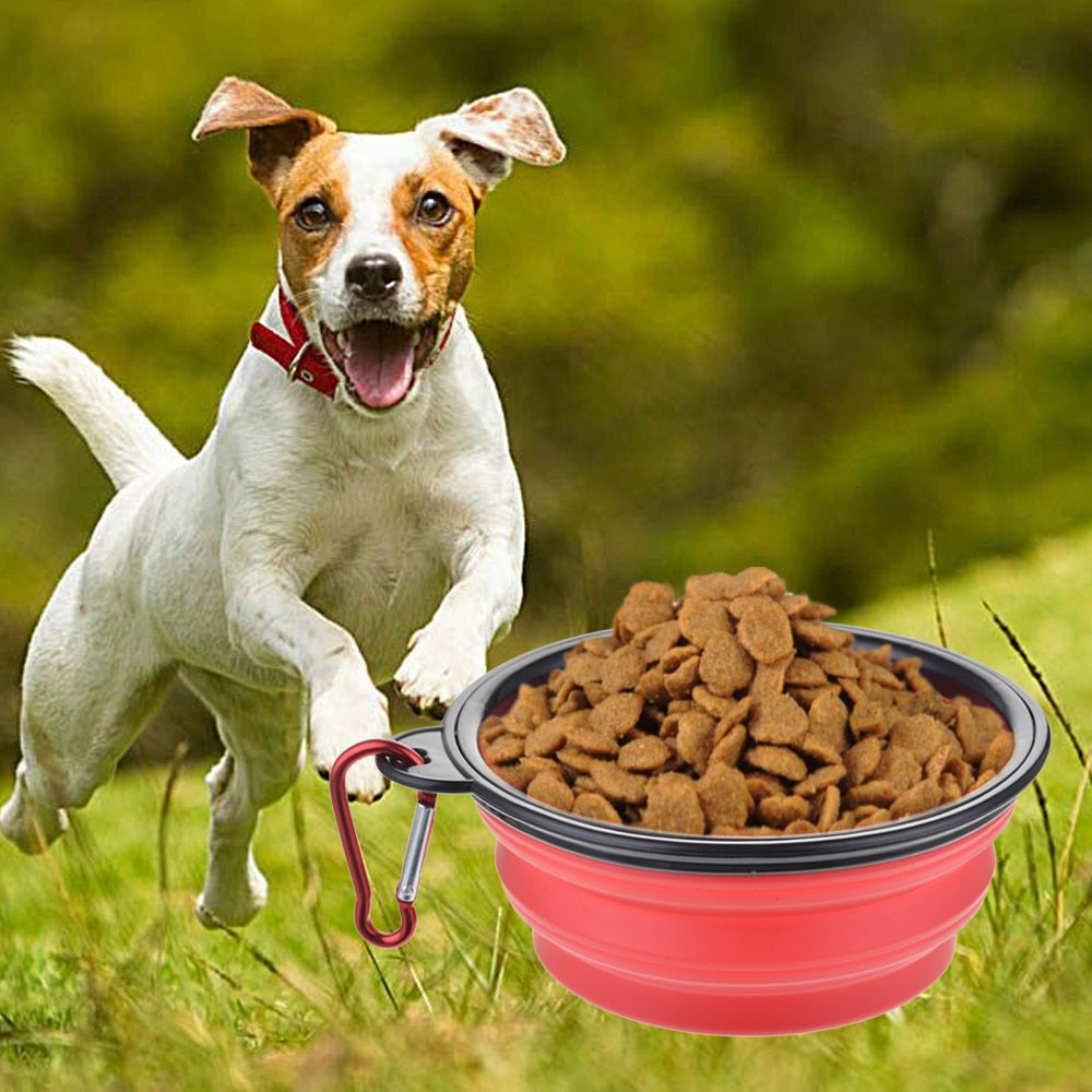 350ml Folding Silicone Dog Bowl