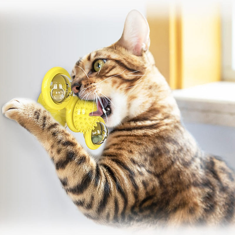 Windmill Interactive Cat Toy