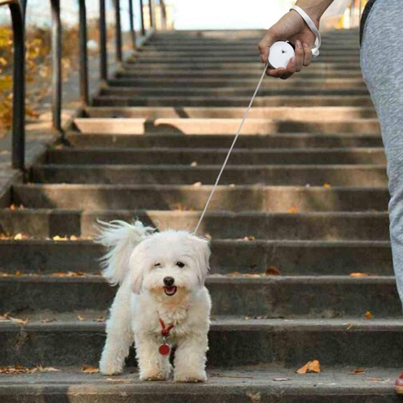Automatic Mini Dog Leash