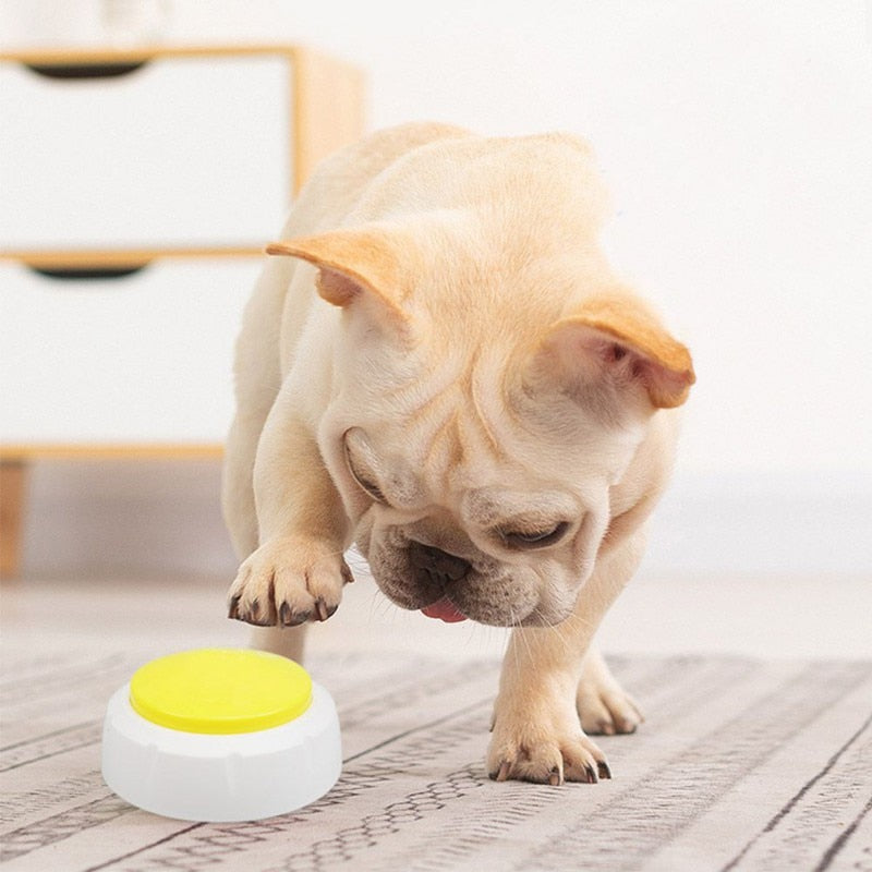 Talk to your pet dog cat recording button