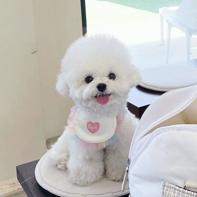 Adorable Dog Bib
