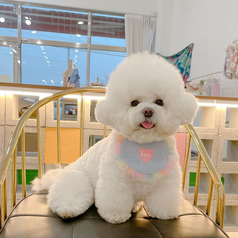 Adorable Dog Bib