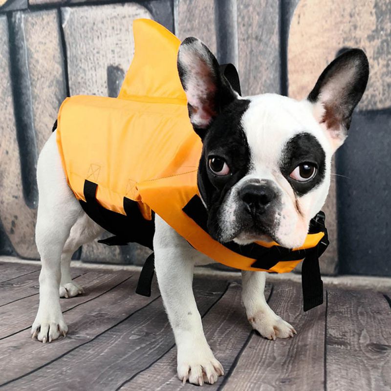 Shark Life Vest Jacket for Dogs