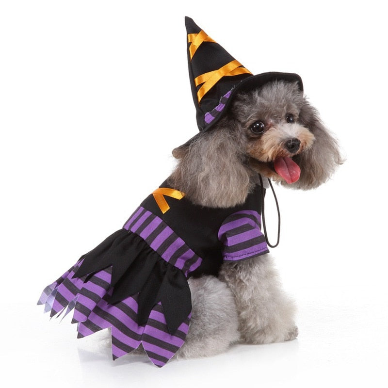 Witch Halloween Dog Costume