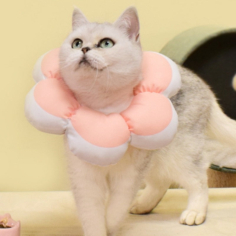 Flower Recovery Cat Collar