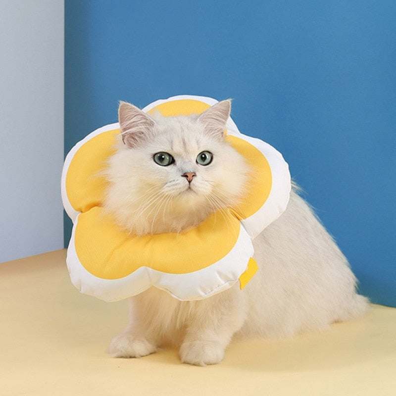 Flower Recovery Cat Collar