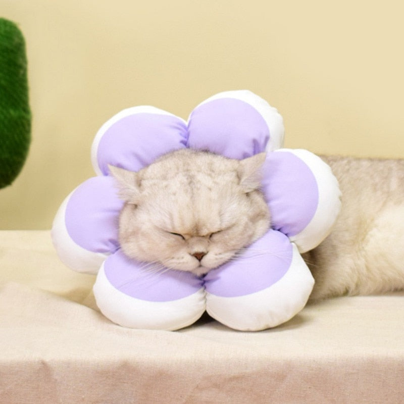 Flower Recovery Cat Collar