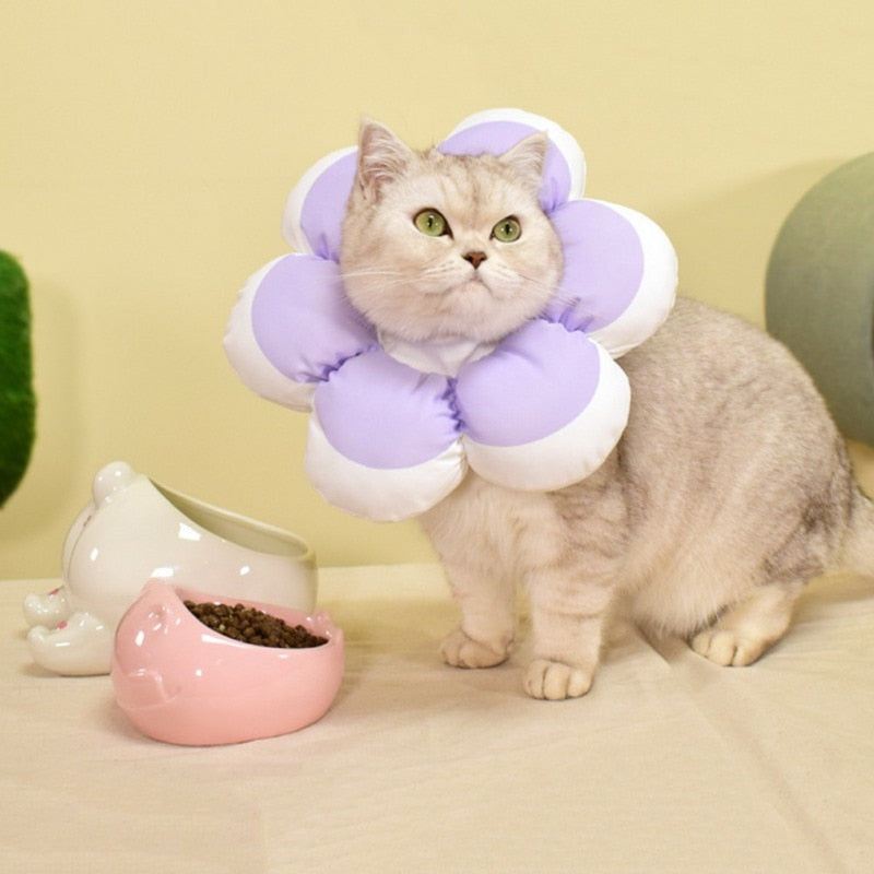 Flower Recovery Cat Collar