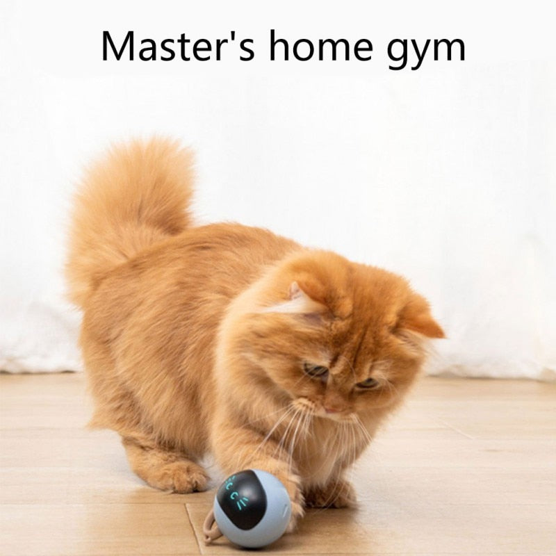 1000mAh Smart Cat Electric Jumping Ball Toy