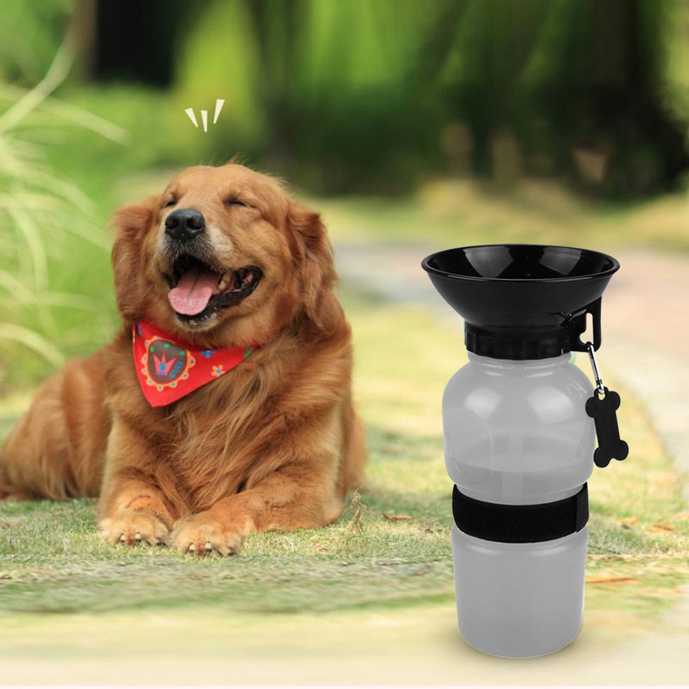 Dog Travel Water Jug & Dispenser