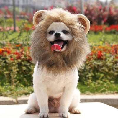 Lion's Mane Wig Halloween Costume