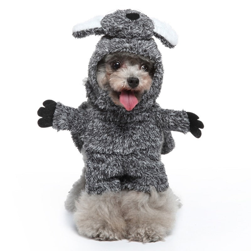 Koala Pet Halloween Costume
