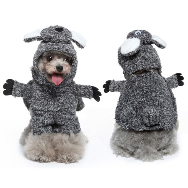 Koala Pet Halloween Costume