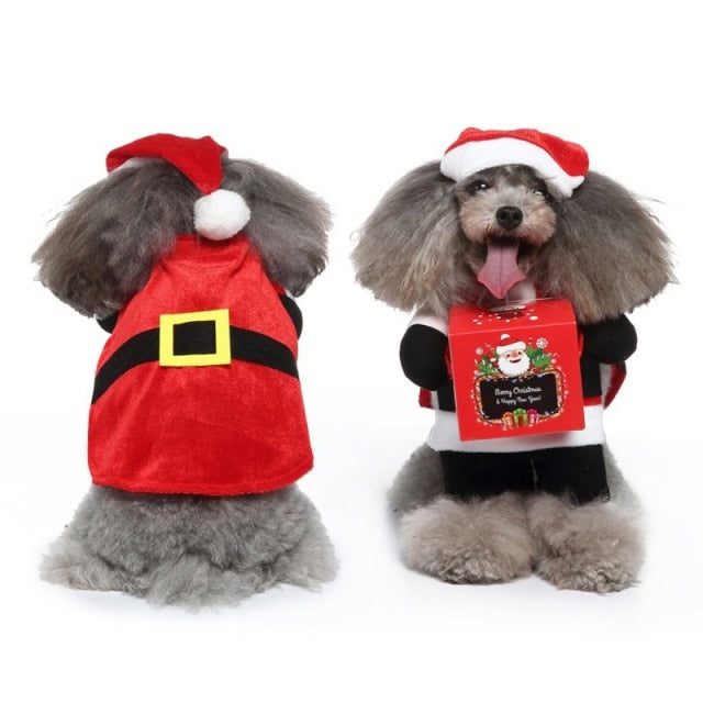 Santa Pet Halloween Costume