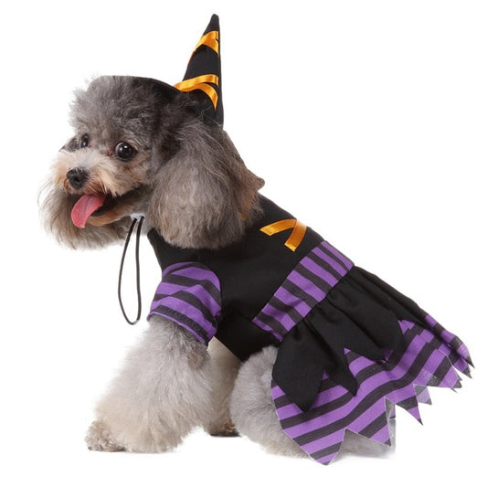 Witch Halloween Dog Costume