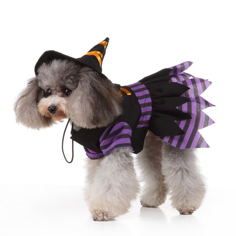 Witch Halloween Dog Costume