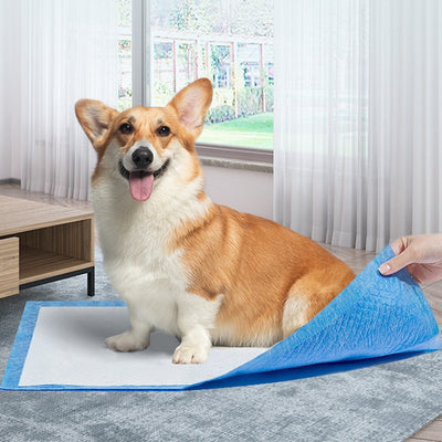 20pcs Super Absorbent Dog Training Pee Pads