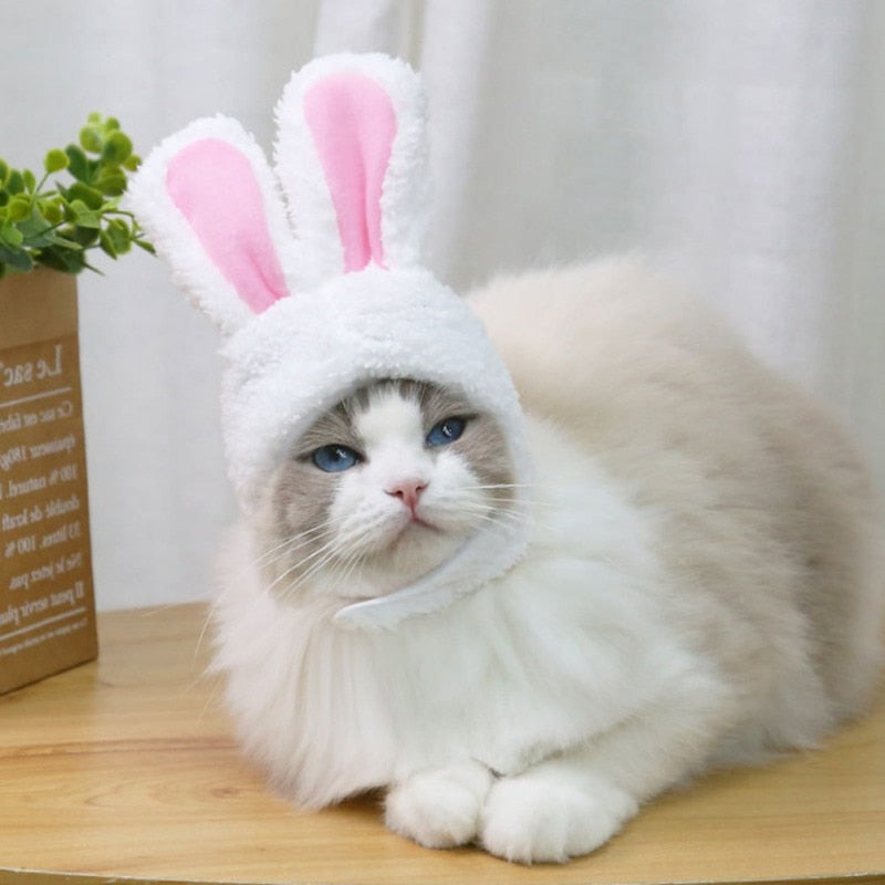 Rabbit Ear Headgear Costume