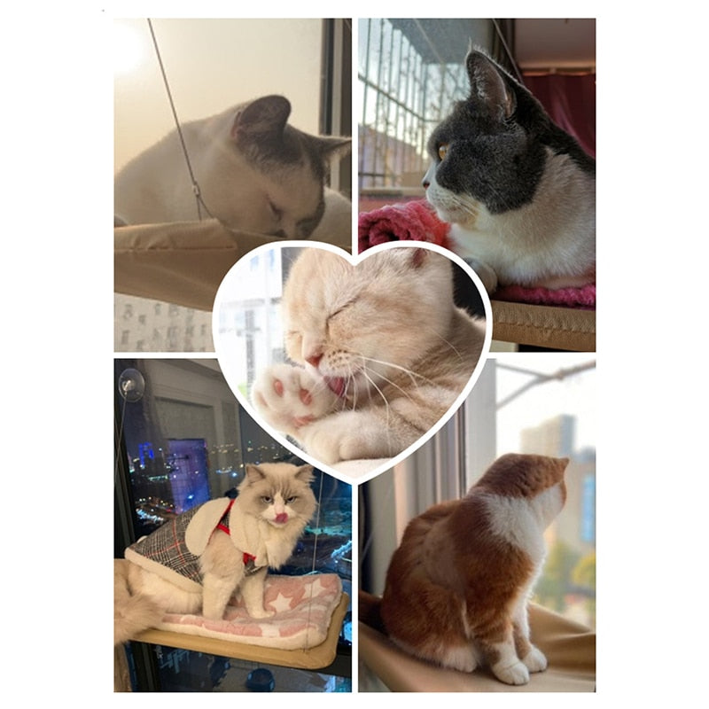 Window Hanging Bed for Cats
