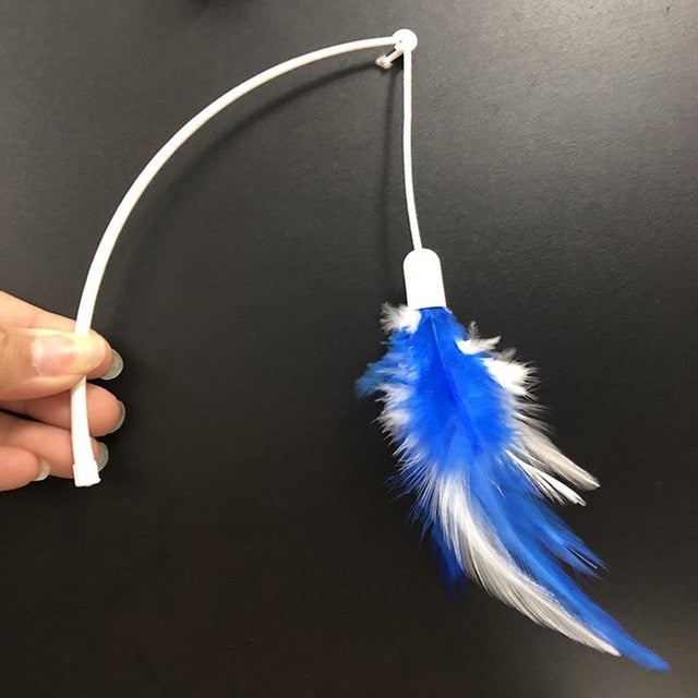 Window Hanging Bed for Cats