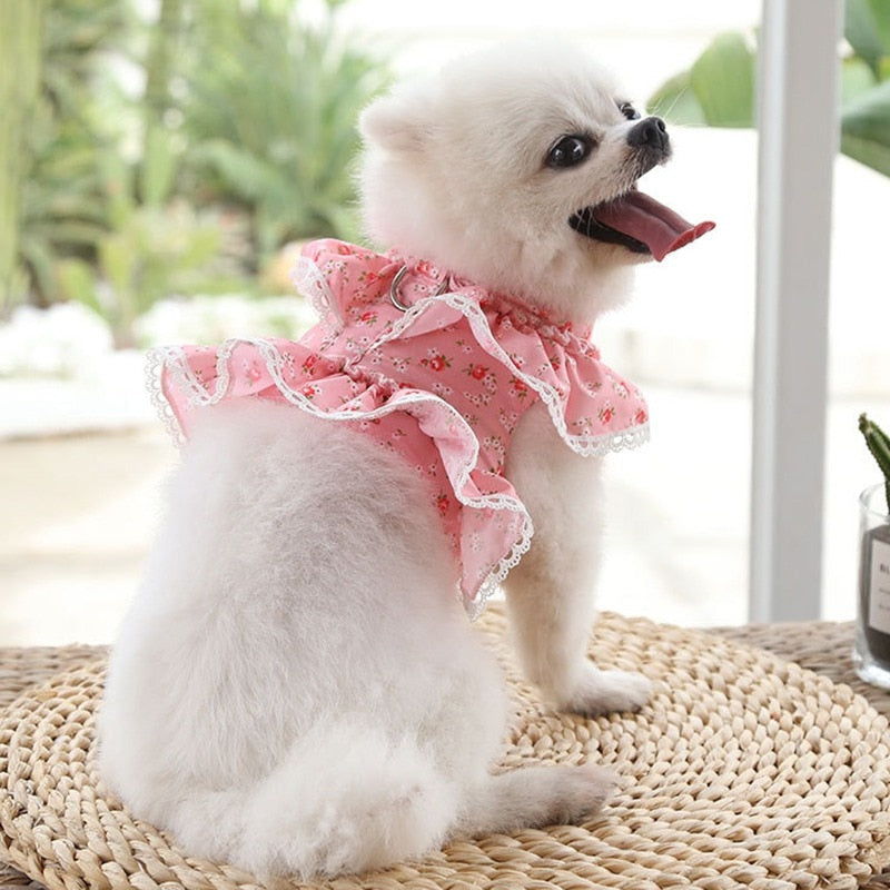 Ruffled Floral Printed Harness with Leash