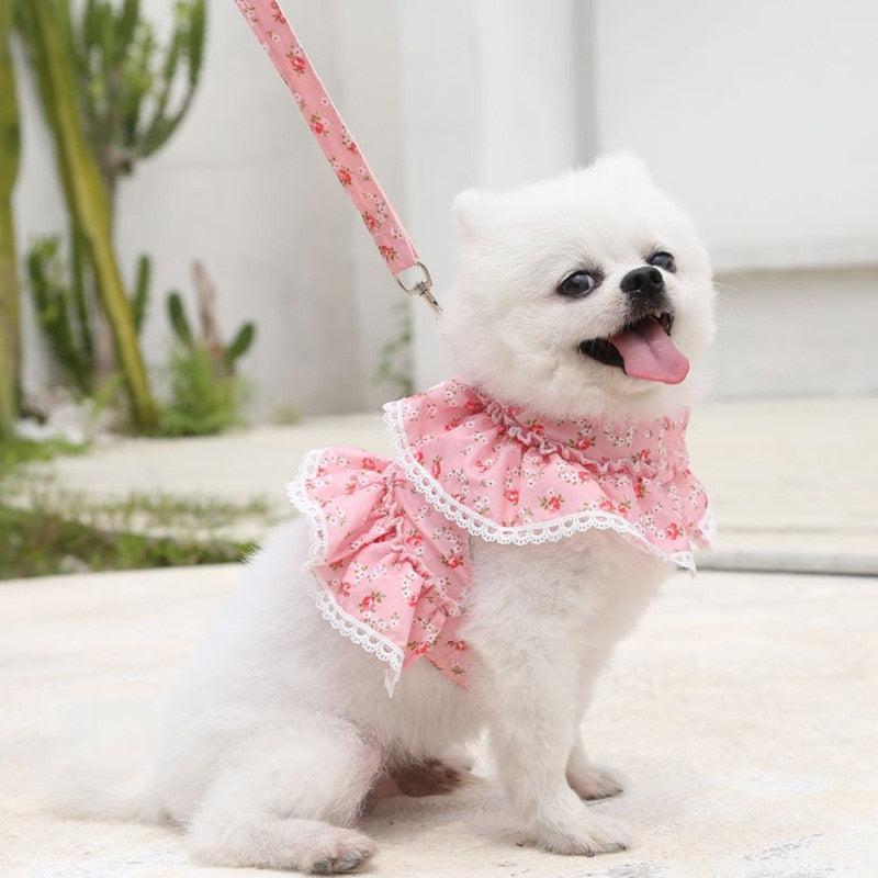 Ruffled Floral Printed Harness with Leash