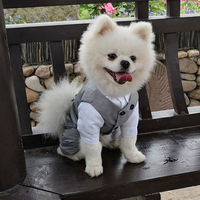 Fancy Gray Tuxedo