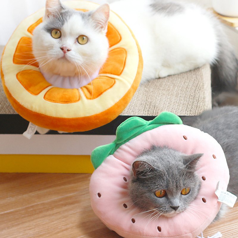 Fruit Shaped Recovery Pet Collar