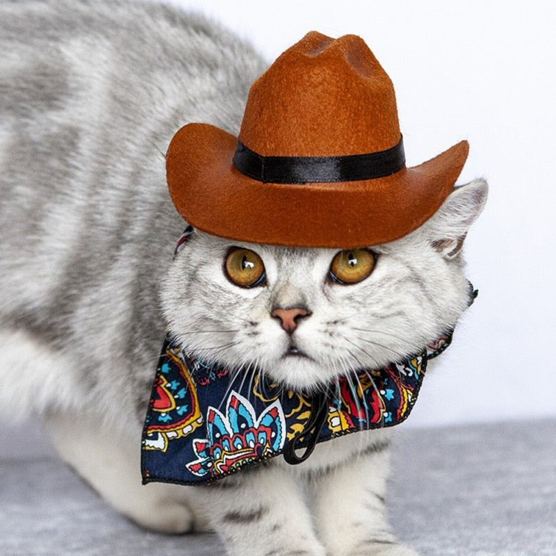 Cat Cowboy Hat