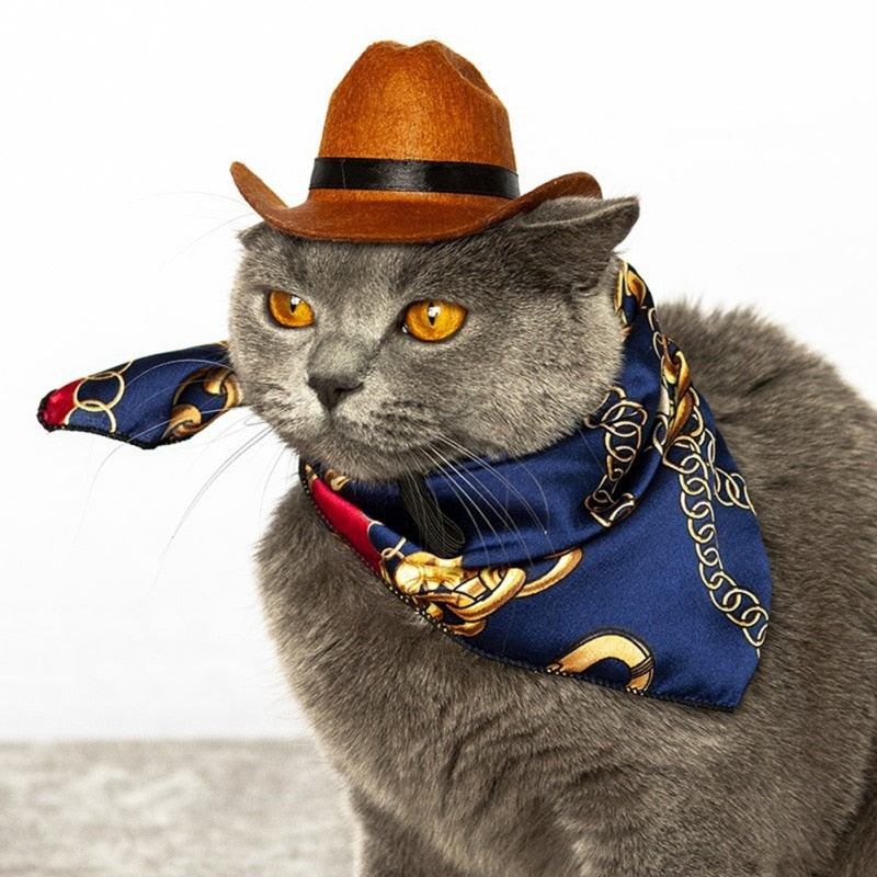 Cat Cowboy Hat