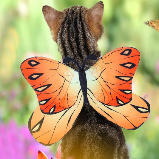 Butterfly Halloween Costume