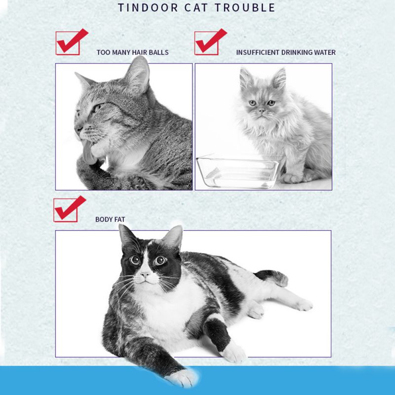 Healthy Catnip Snack